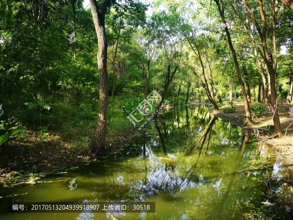 嘉興中央公園