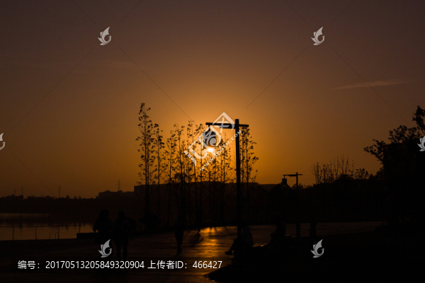 太陽路燈小樹林