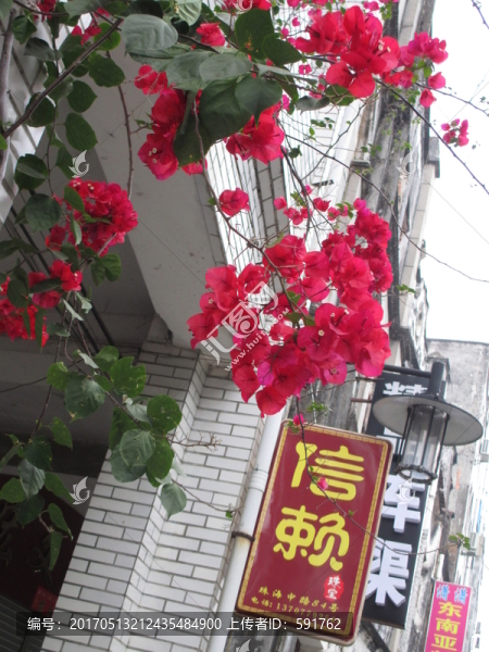 老街