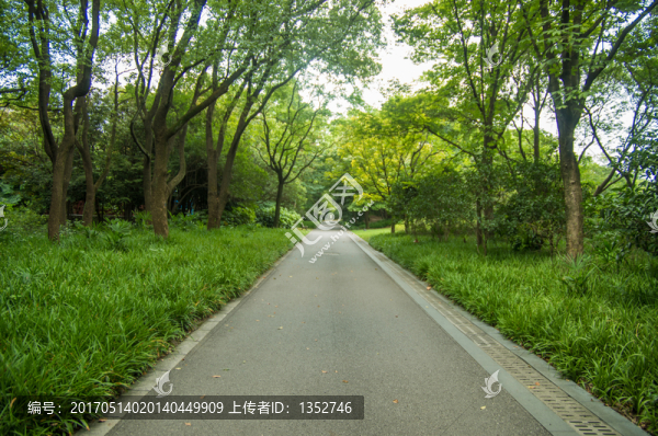 公園景觀