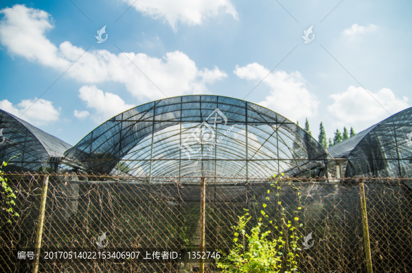 蔬菜大棚