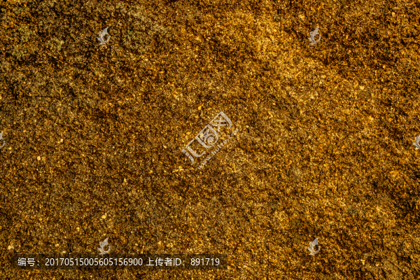 沙地紋理