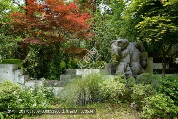 上海,聞道園,園林,植物,戶外