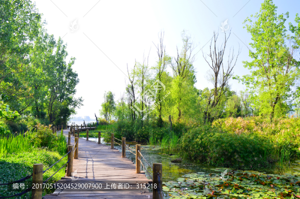 濕地公園