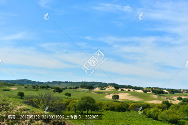 沙漠綠洲