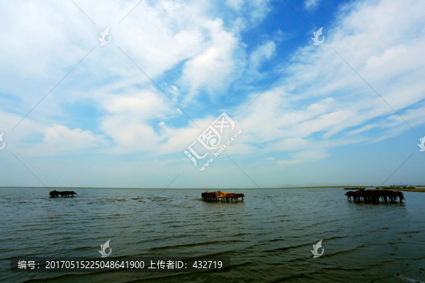 藍(lán)天白云湖泊馬群