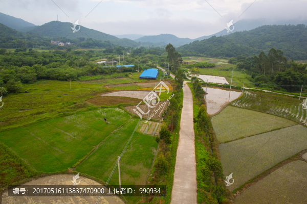 村道,田園風(fēng)光