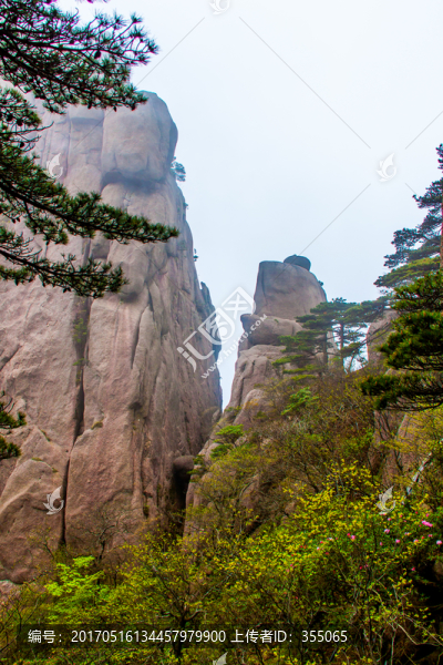 黃山