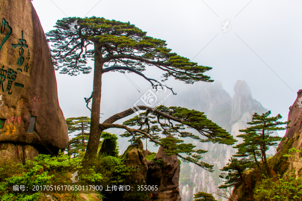 黃山