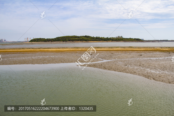 唐島灣