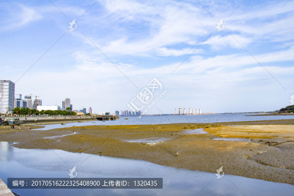 唐島灣