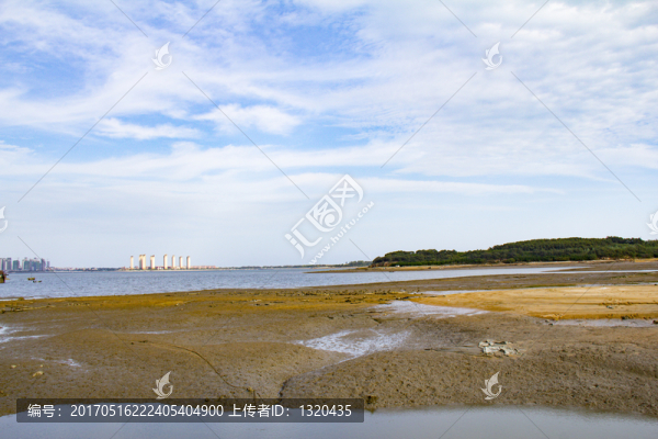 唐島灣
