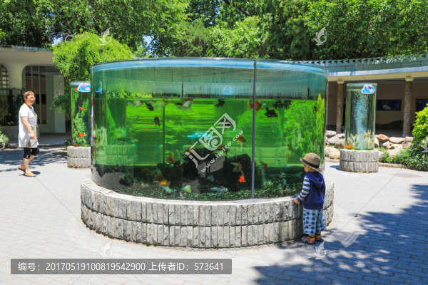 生態(tài)魚缸