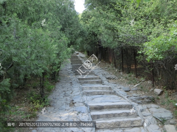 登山道,登山路,青石臺階