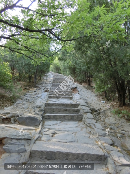 登山道,登山路,青石臺階