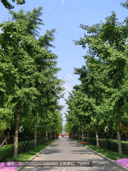 地壇,林蔭道