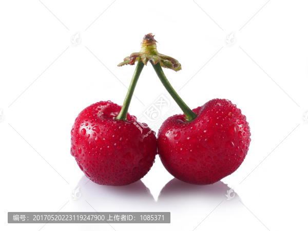 大櫻桃