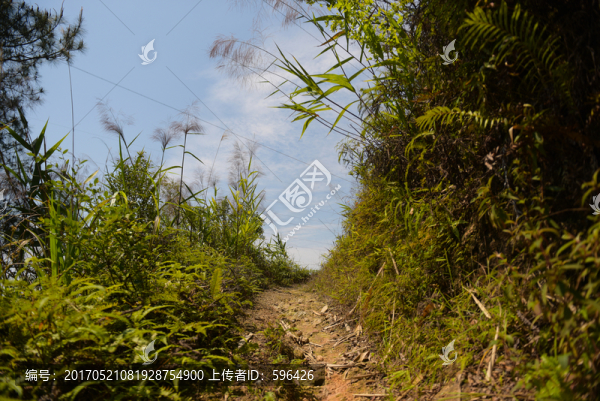 山路