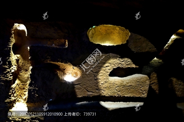 重慶自然博物館