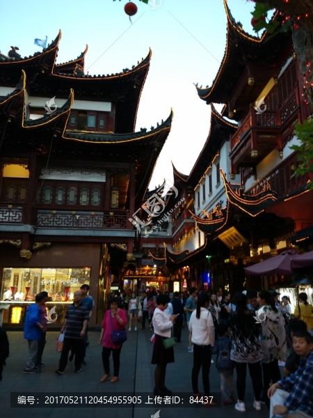 上海,建筑,寺廟,旅游,風(fēng)光