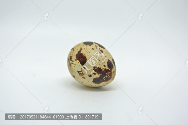 鵪鶉蛋特寫
