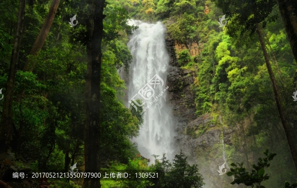 林中飛瀑