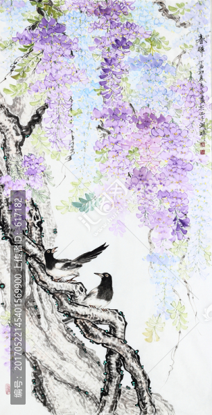 春暉,紫藤