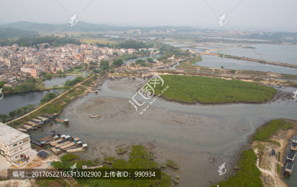 蠔鄉(xiāng),紅樹林