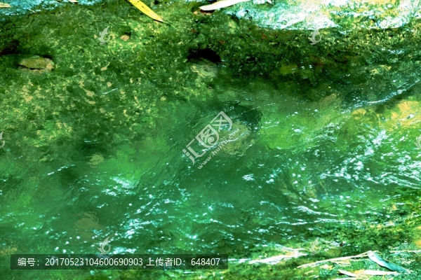 水紋,水紋理,溪水,小溪,水面