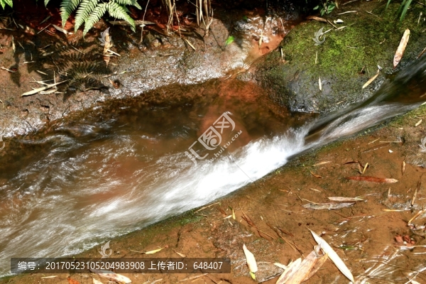 泉水,溪流,水花,溪水,小溪