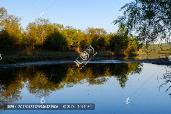 靜靜的河水