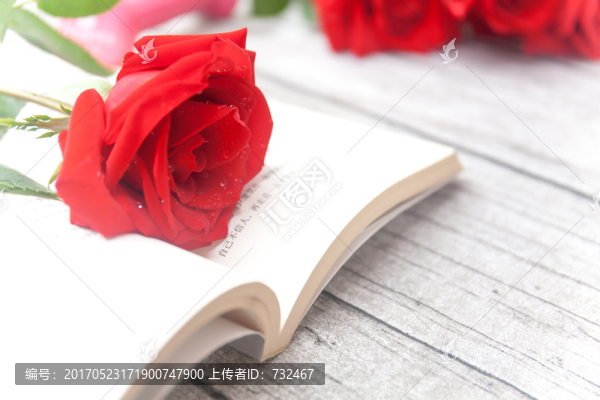 紅玫瑰書