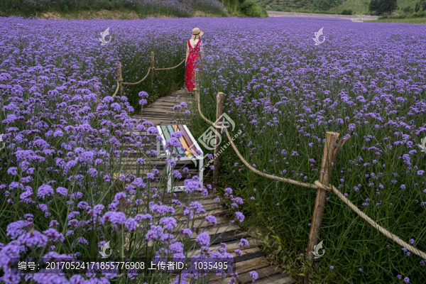 花海