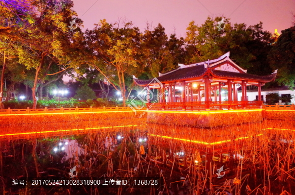 公園夜景
