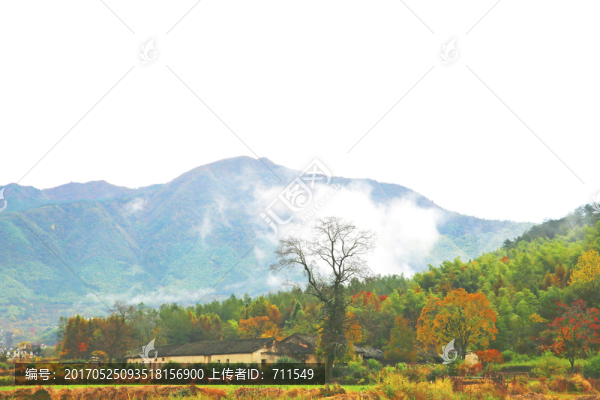 塔川秋色
