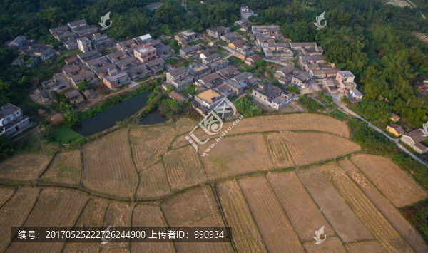 鄉(xiāng)村,村莊,航拍