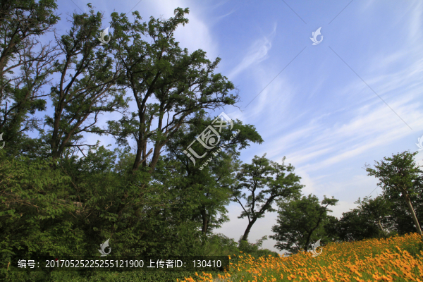山林
