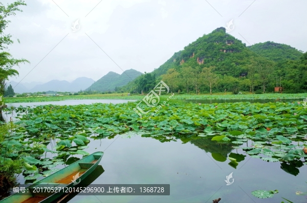 普者黑風光