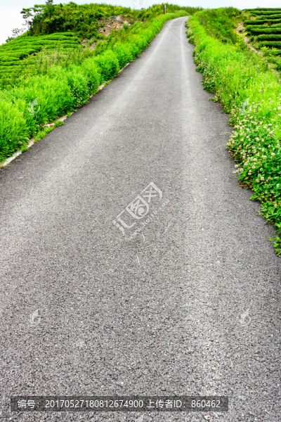 柏油路