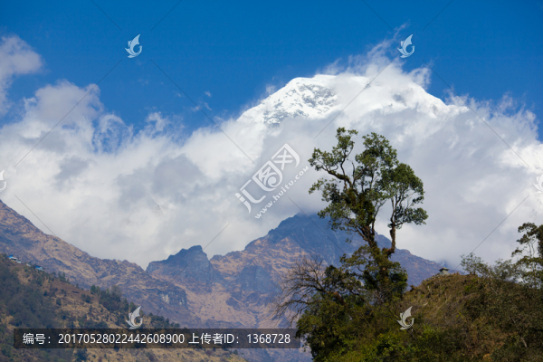 尼泊爾安娜普爾納雪山