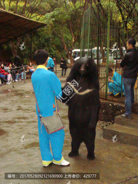 動物園馴獸師