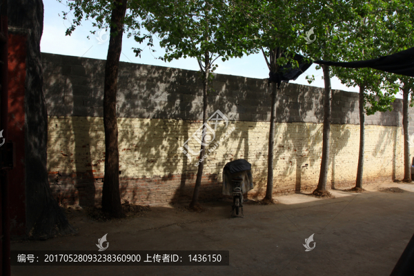 墻角陰涼地,,,樹林