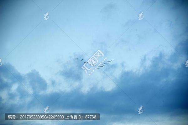 雁陣