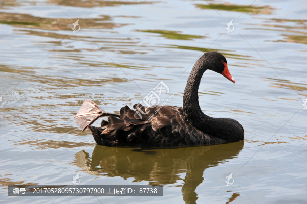 秦皇島