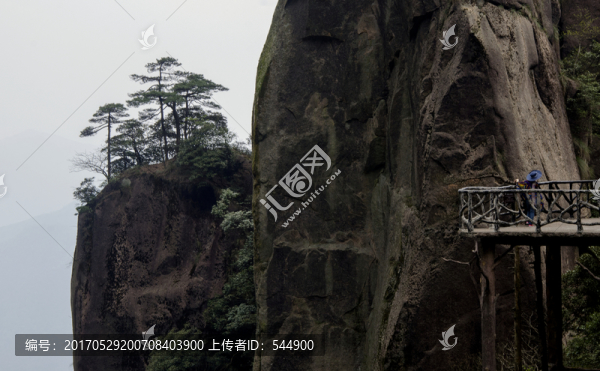 棧道奇松