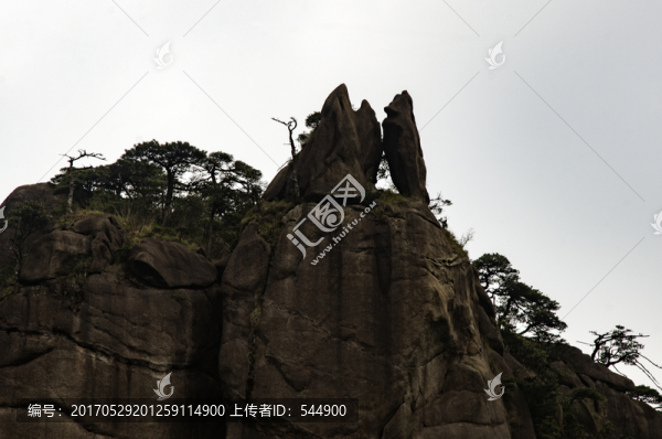 狐貍啃雞