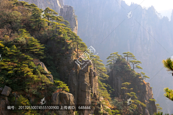 黃山奇石