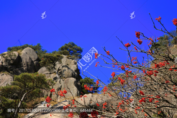 黃山風(fēng)光