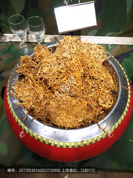 菜品擺設(shè),黃花菜