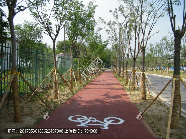 自行車道,步行道